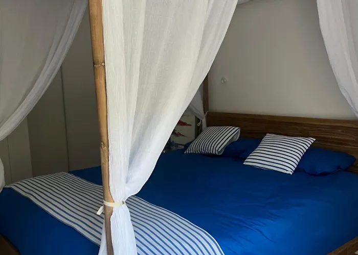 De Luxe Dans Le Paquebot Horizon